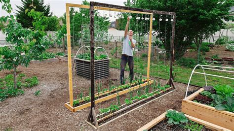 This Method of Trellising Tomatoes is a Game Changer! - YouTube