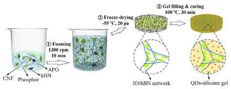 Schematic showing the fabrication process of 3D/hBN network and... | Download Scientific Diagram