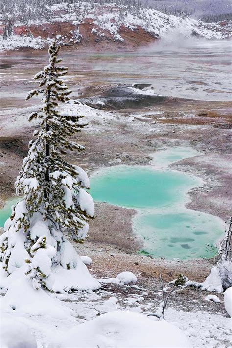 Norris Geyser Basin Photograph by Nancy A Marshall