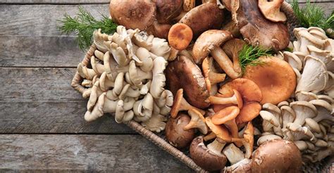 Some of the best edible mushrooms in India and across the world | Food | Manorama English