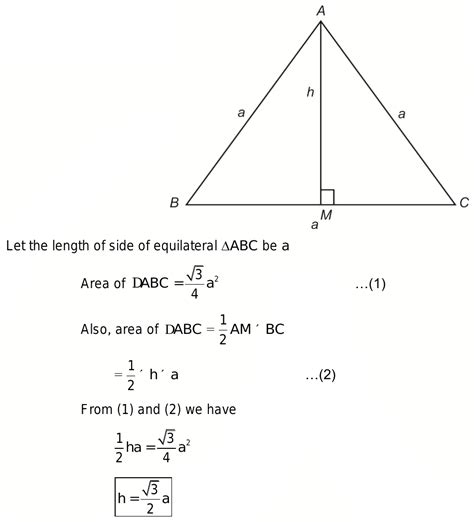 17. What is the formula to get the height of an equilateral triangle?