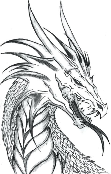 Dragon Outline Drawing at GetDrawings | Free download