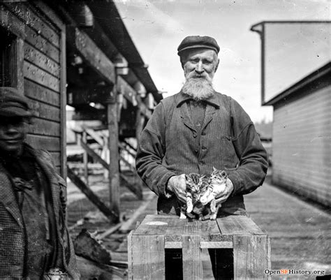 Fishermans Wharf Cat Images - OpenSFHistory - Western Neighborhoods Project