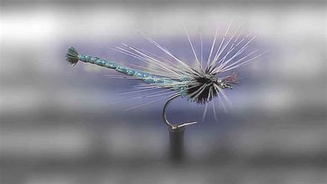 Fishing the Dragonfly Hatch in the Lake District | Set Fly Fishing