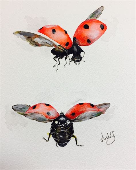 Flying ladybugs | Insect art, Ladybug art, Bug art