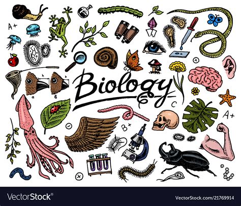 Scientific laboratory in biology icon set Vector Image