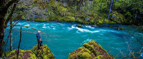 Destination Spotlight - North Umpqua Base Camp - Ashland Fly Shop