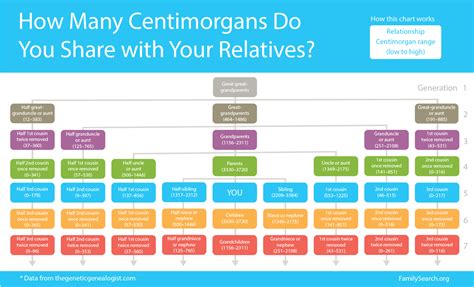 Centimorgan Chart: Understanding Your DNA Results