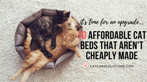 10 Irresistibly Cute and Cheap Cat Beds That Aren't Cheaply Made for the Purrfect Fit » Cat Care ...