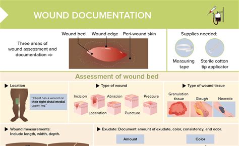 Wound Documentation [+ Free Cheat Sheet] | Lecturio