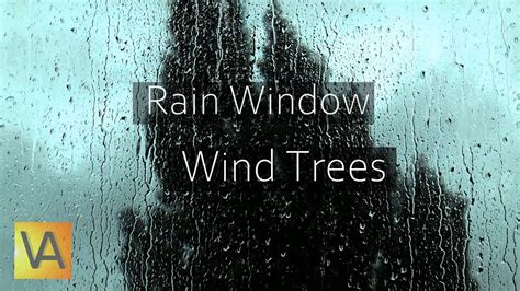 Rain Hitting Window with Wind Through Trees Sound - YouTube