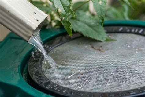 From Sky to Soil: The Benefits of Rain Barrels in Your Garden