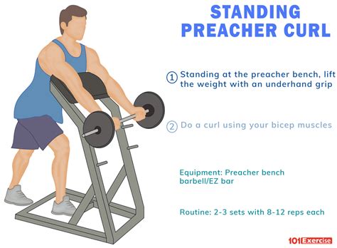 Standing Preacher Curl | 101Exercise.com