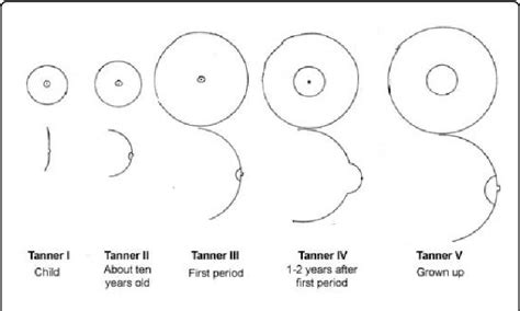 Table 3 from Thermal Patterns in Peripheral Regions of Breast during Different Stages of ...