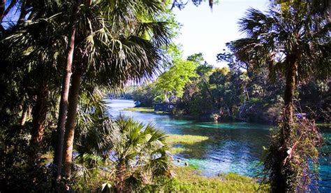 Scuba Diving the Clear Waters Of Rainbow River in Florida | RUSHKULT