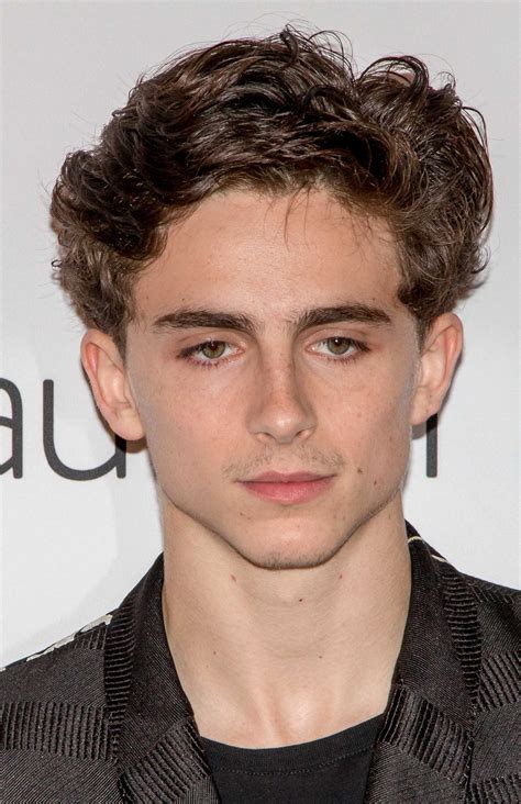 Timothee Chalamet leads royal cast in Netflix Original ‘The King’ – The ...