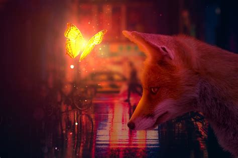 Red Fox Japan Osaka - Free photo on Pixabay - Pixabay