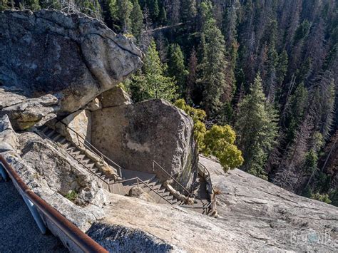 The 5 Best Family Hikes in Sequoia National Park | National parks ...