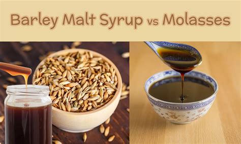 Barley Malt Syrup vs Molasses: The Ultimate Verdict - The Coconut Mama