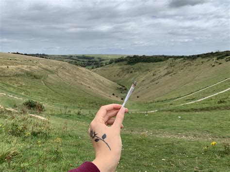 Smoke spot in Devils Dyke, Brighton : r/trees