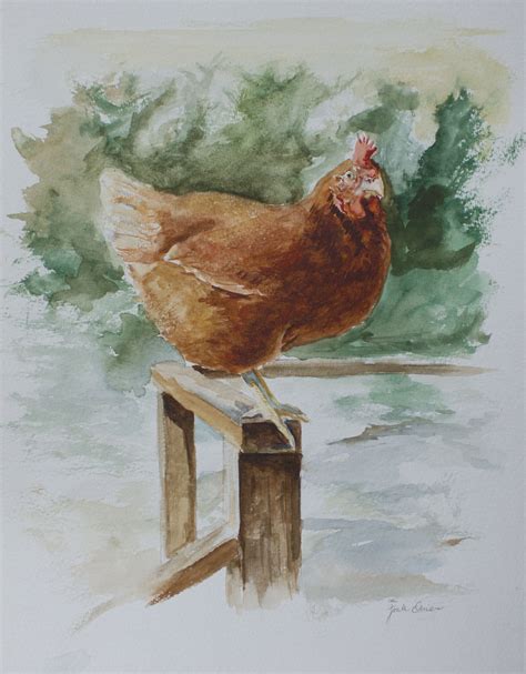 Spring Chicken in Watercolor | Frank Omier Fine Art