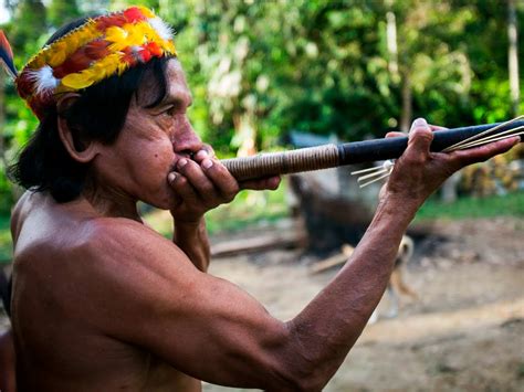 First-Ever Regional Court Case Involving Rights of Uncontacted Peoples Awaits Verdict | Amazon Watch