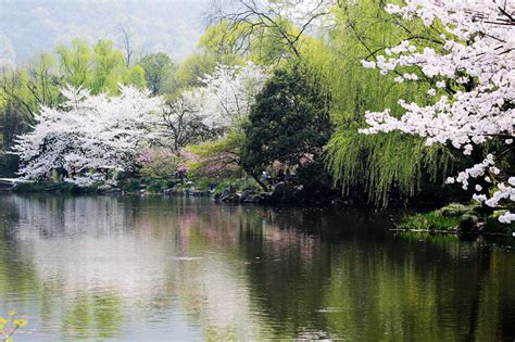 春游图片风景图片,春游图片海报,春游图片简笔画_大山谷图库