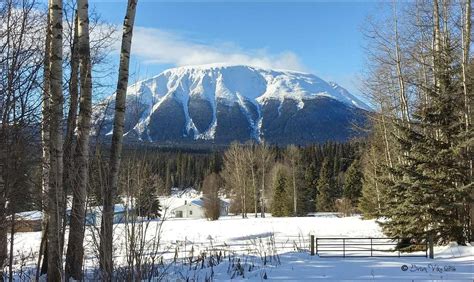 Winter Nadina Mountain on February 6, 2016, Houston, BC. Travel Houston ...