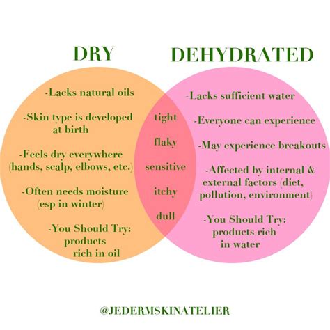 Dehydrated Skin? How to Treat and Nourish It — JE'DERM skin atelier