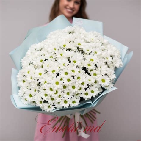 31 Crizanteme Albe in Buchet