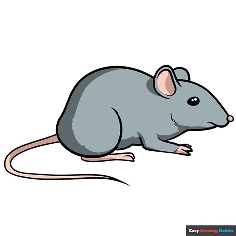 Cute Mice Drawings