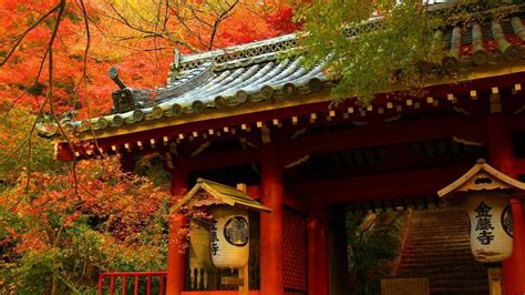 Japanese Autumn Wallpapers - Top Free Japanese Autumn Backgrounds ...