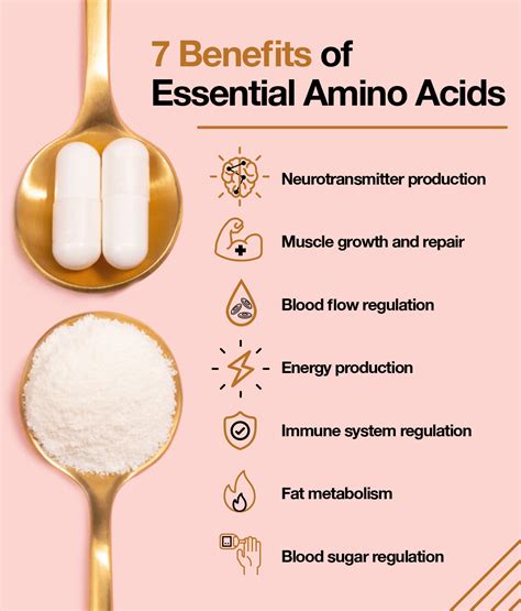 Amino Acids List And Benefits at Pauline Parker blog