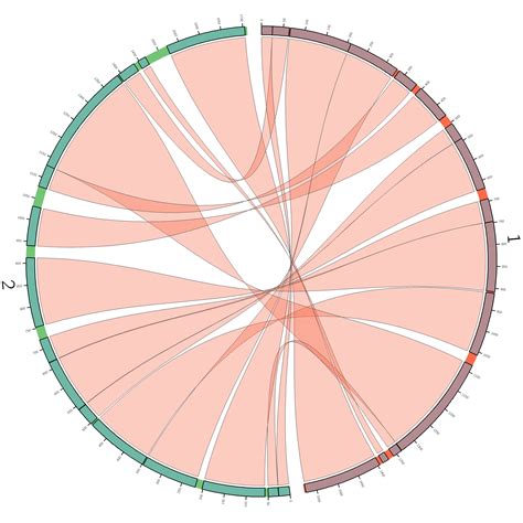 javascript - D3 chord diagram with exact positions - Stack Overflow