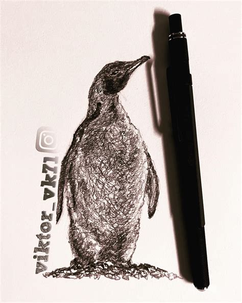 468 ️ 🐧 “paradise” [part 348] penguin drawing sketch : r/sketches