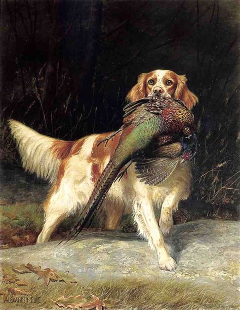 Alexander Pope - ) | Dog paintings, Famous dogs, Dog art