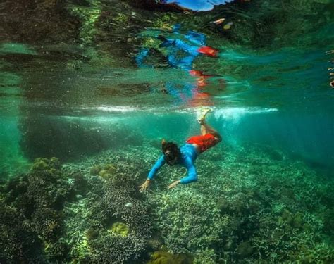 Snorkeling over coral reefs 👍 @... - Cagbalete Island