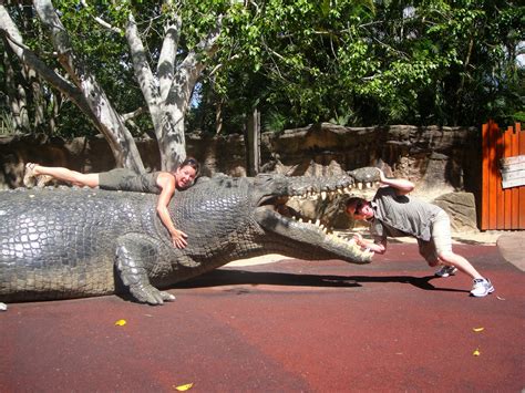 Miss Thibault's Teacher Exchange Adventure: Steve Irwin Zoo north of Brisbane