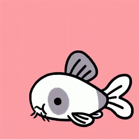 Catfish Spitting Out Food GIF | GIFDB.com