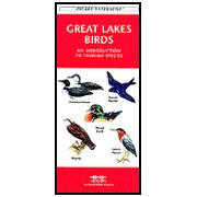 Great Lakes Birds: 9781583550922 - Christianbook.com