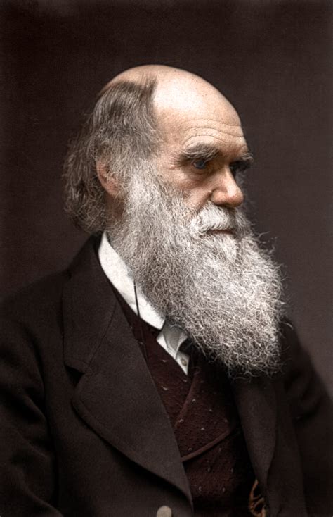 Charles Darwin by Zuzahin on DeviantArt