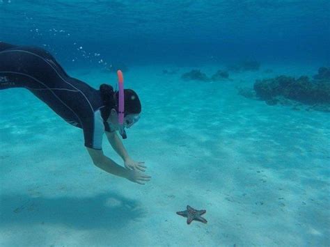 Snorkeling In Zanzibar From TourXplorer: Call Us Now