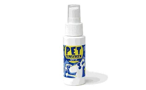 The Best Sunscreen for Dogs in 2022 | My Pet Needs That