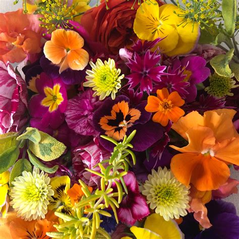 Seasonal edible flower mix from Maddocks Farm Organics | Edible flowers, Edible, Flowers