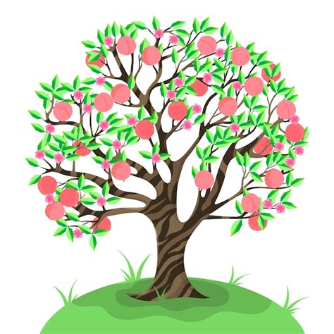 Premium Vector | Peach tree isolated.