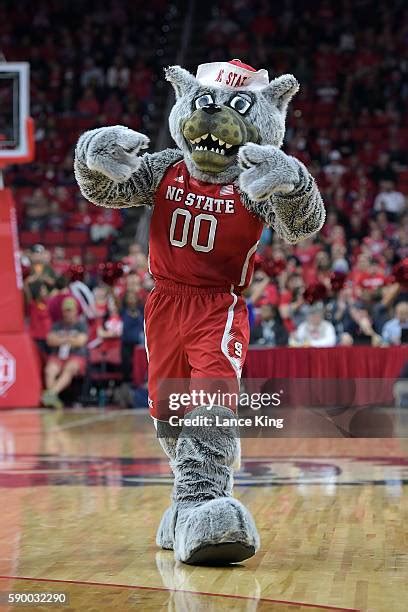 Nc State Wolfpack Mascot Photos and Premium High Res Pictures - Getty ...