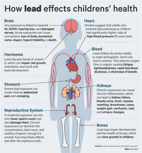 Plumbing heating: Lead in water health effects