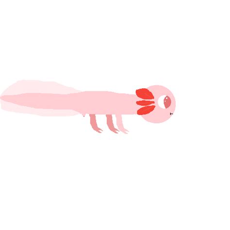 Pixilart - Axolotl Regeneration GIF by Soussi05