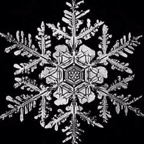 Snowflakes.... I