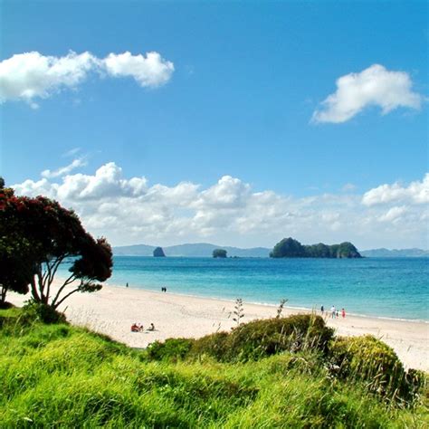 HAHEI - Visitor Info | Accommodation | Activities | Services | Cathedral Cove